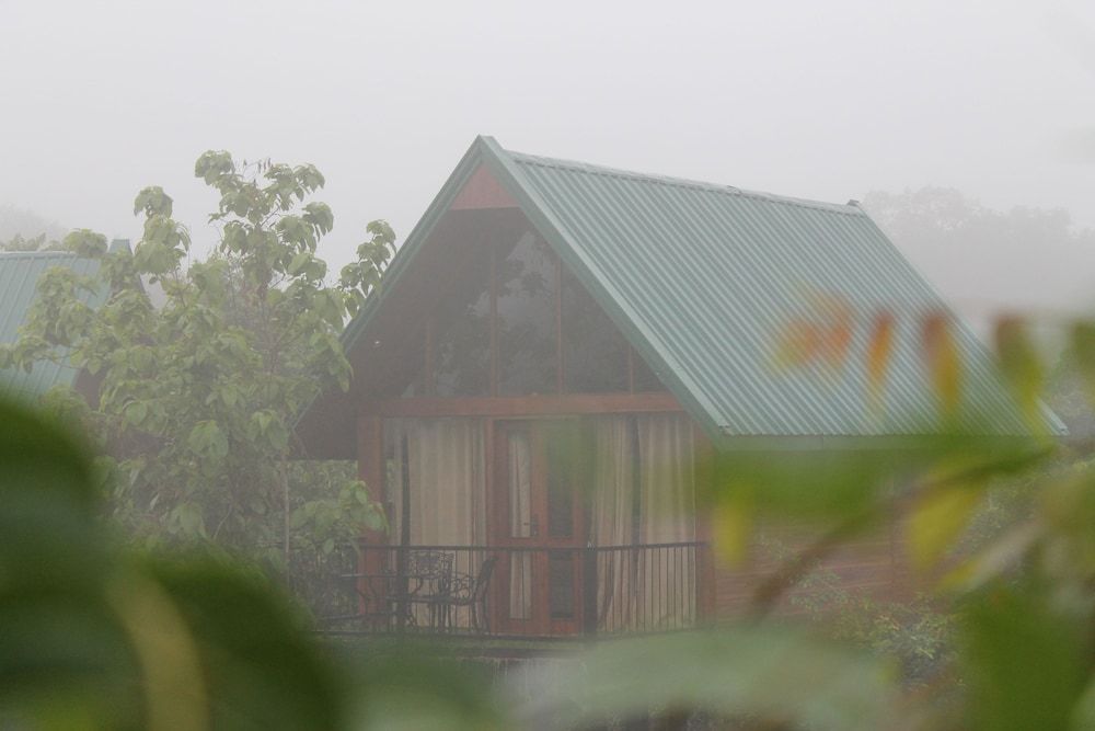 Nice Place Bungalows Tree House, 1 Double Bed 9