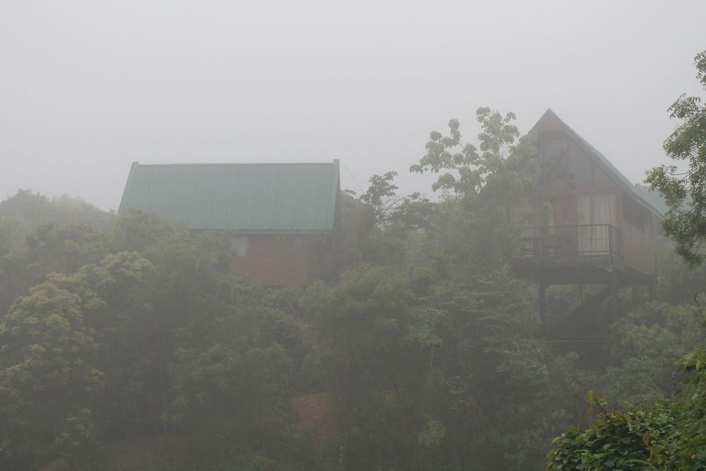 undefined Nice Place Bungalows 5