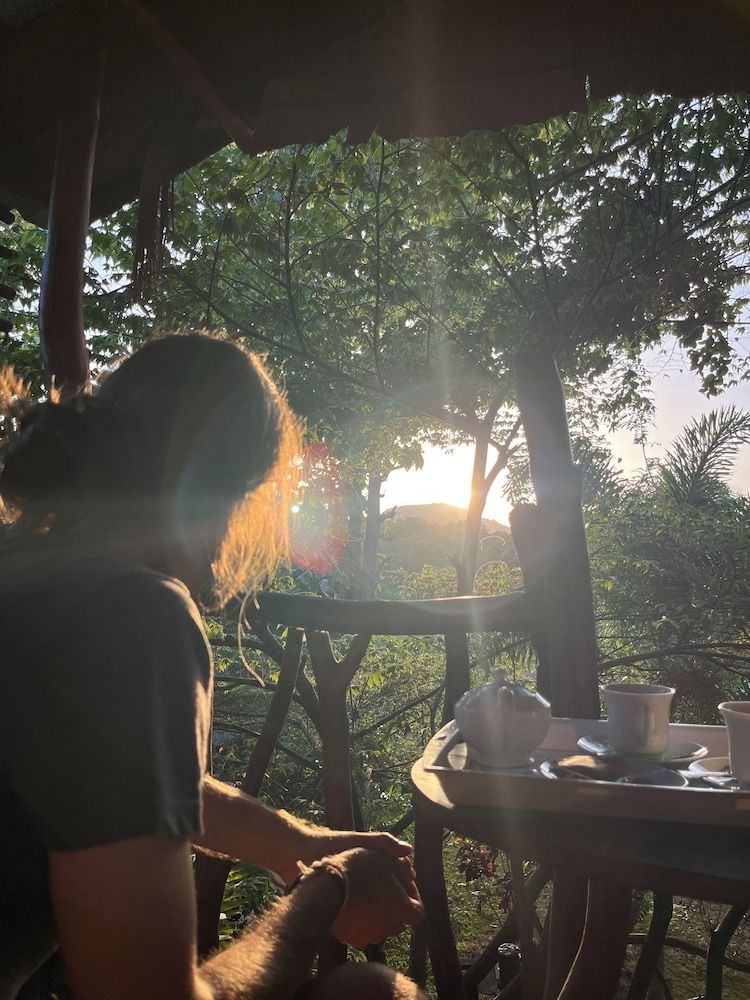 Sigiriya Rock Gate Resort Traditional Tree House, 1 Queen Bed, Mountain View 8