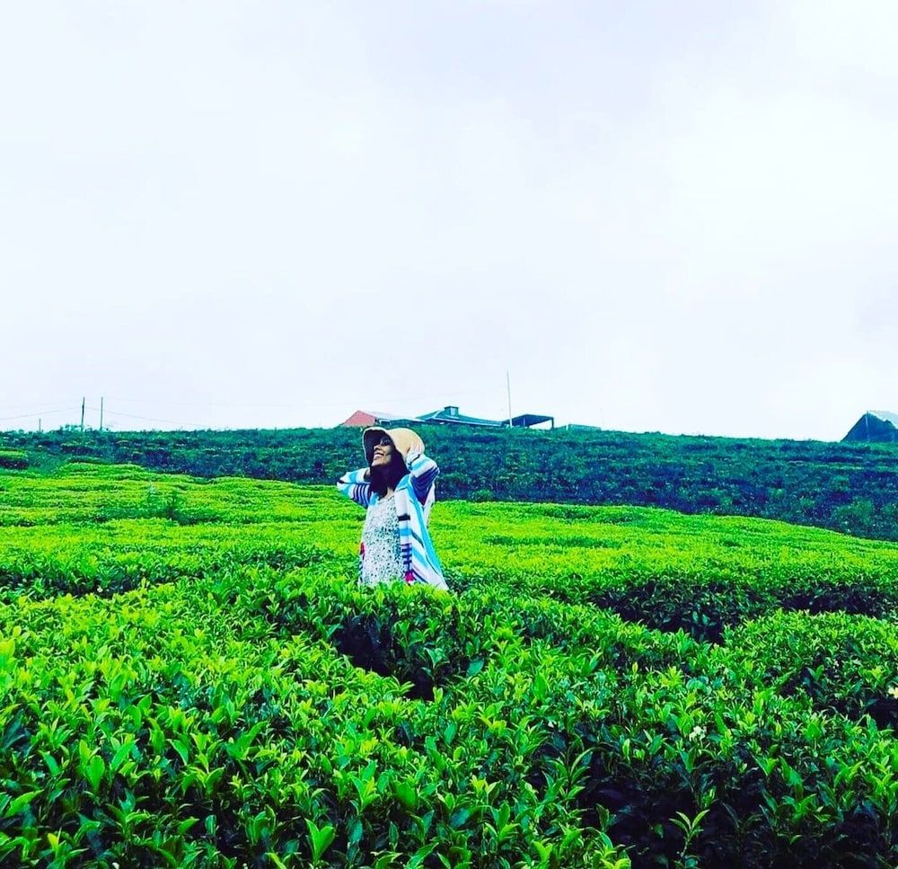 undefined The Tea Garden 8