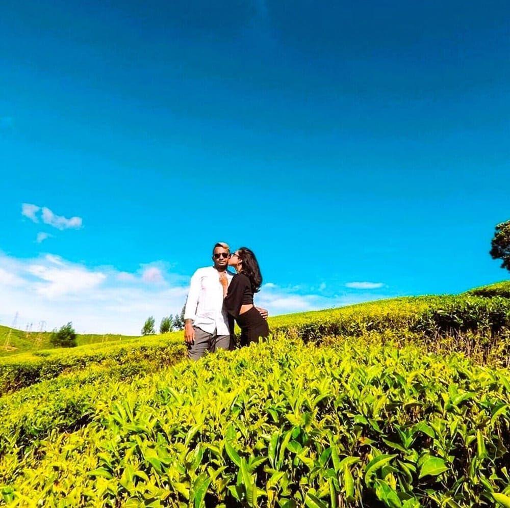 undefined The Tea Garden 9