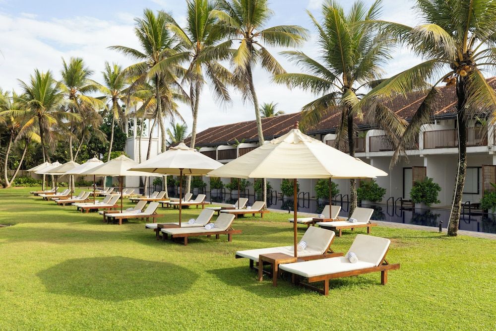 undefined Ekho Surf 10