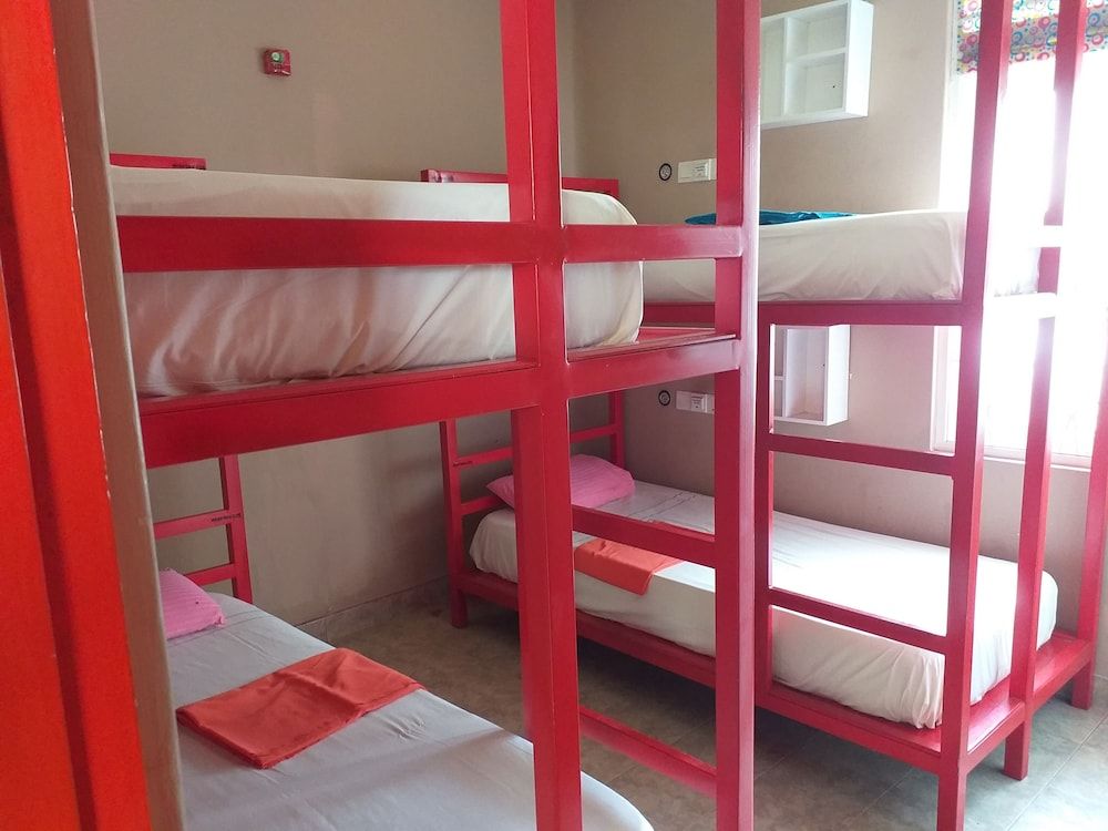 Single Bed in 4-Bed Female Dormitory Room with A/C