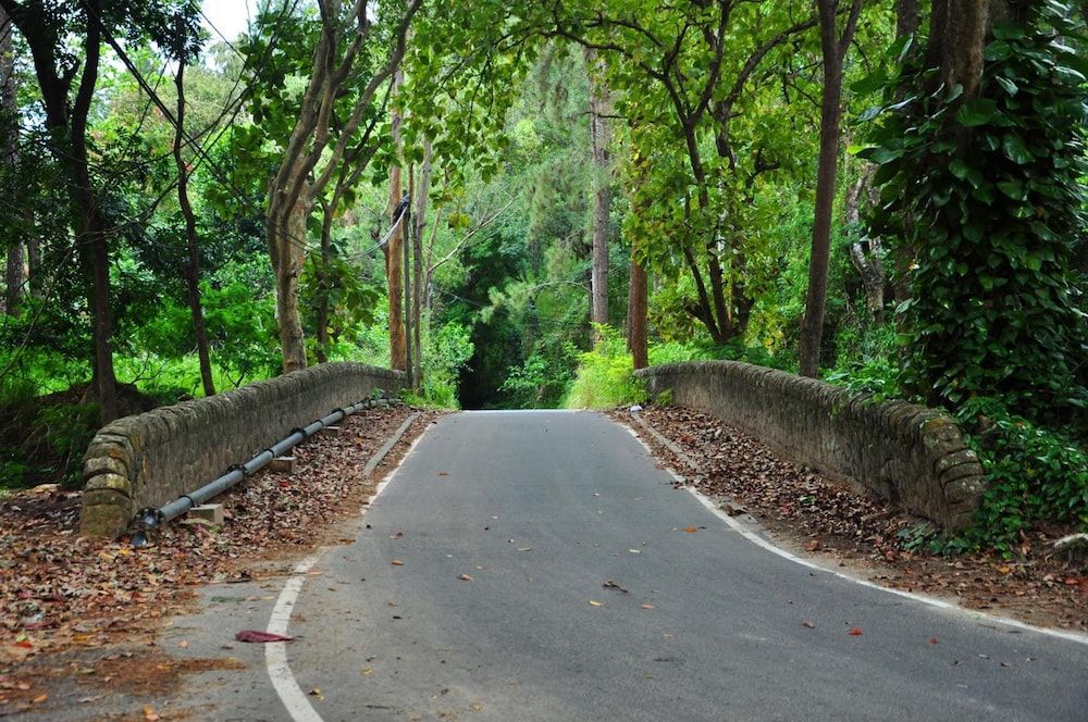 undefined Linwood Bungalow 8