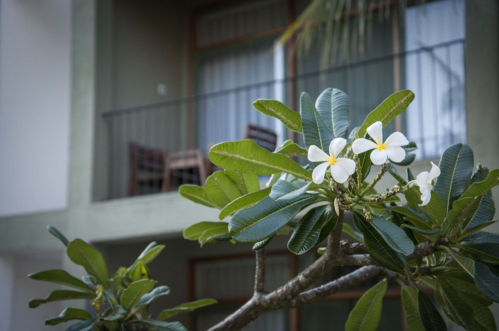 undefined Fresco Water Villa 8