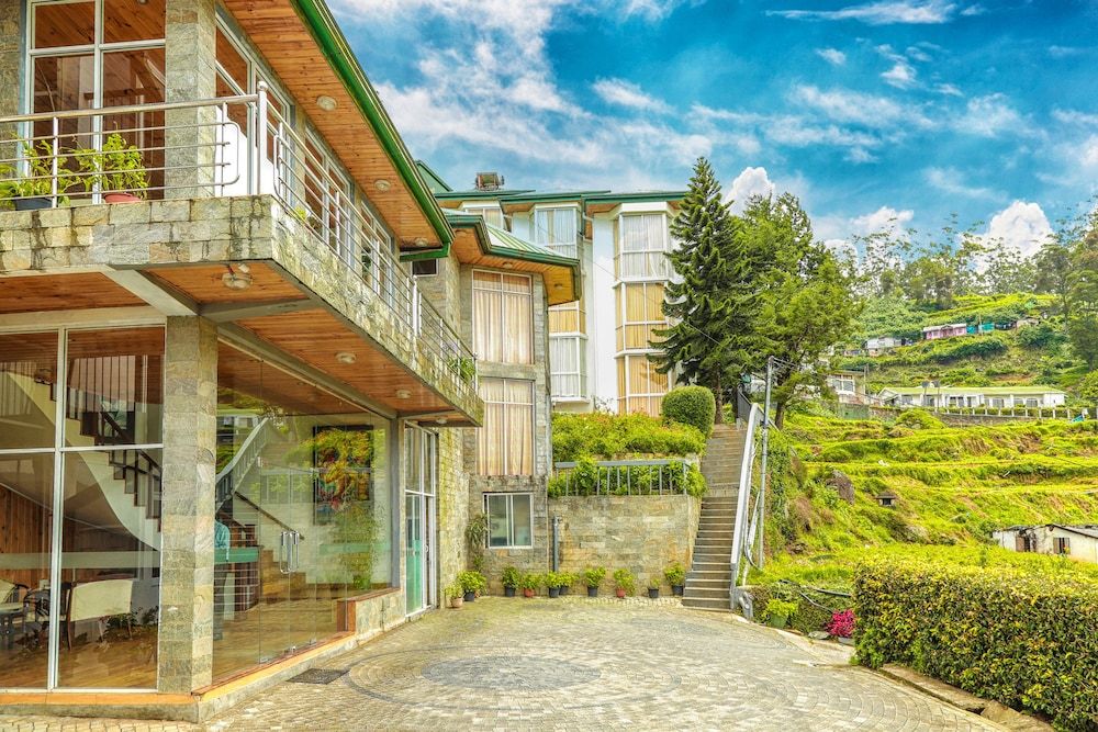 undefined Oak Ray Summer Hill Breeze 7