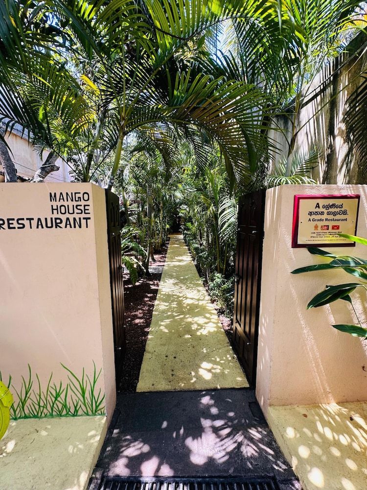 undefined Mango House 3