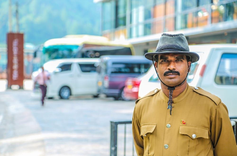 undefined Oak Ray Tea Bush 6