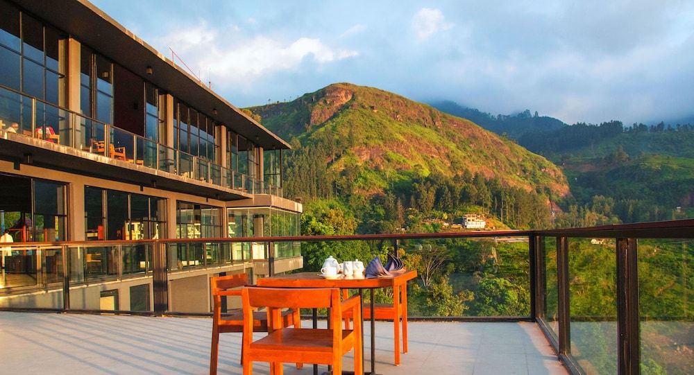 undefined Oak Ray Tea Bush