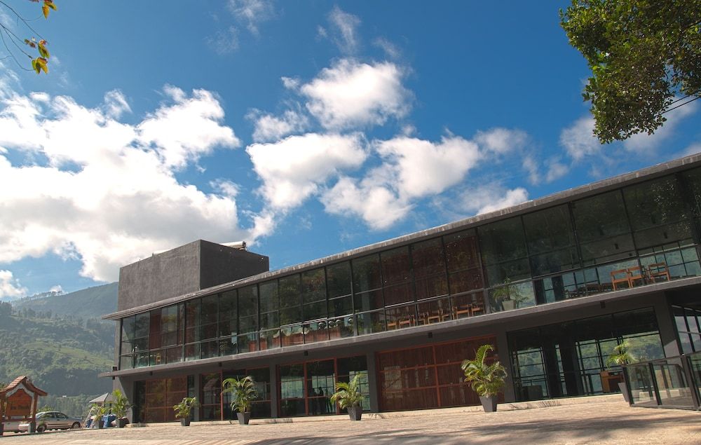 undefined Oak Ray Tea Bush 5