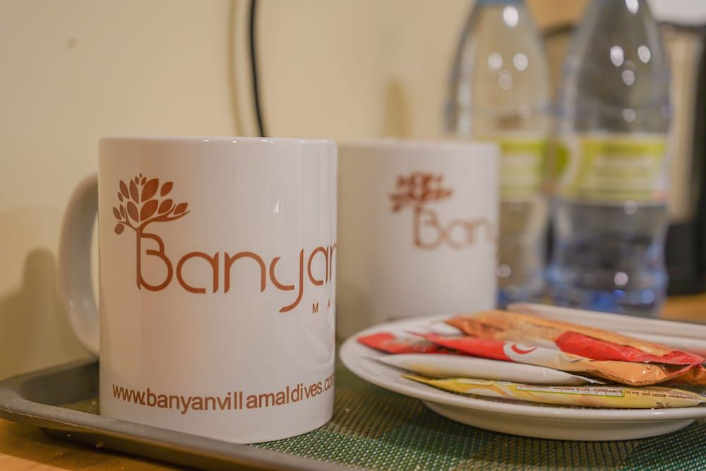 Banyan Villa Maldives Deluxe Room 5