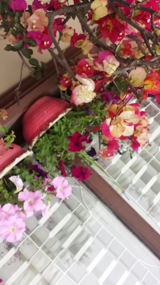 undefined Dipankara Holiday Home 9