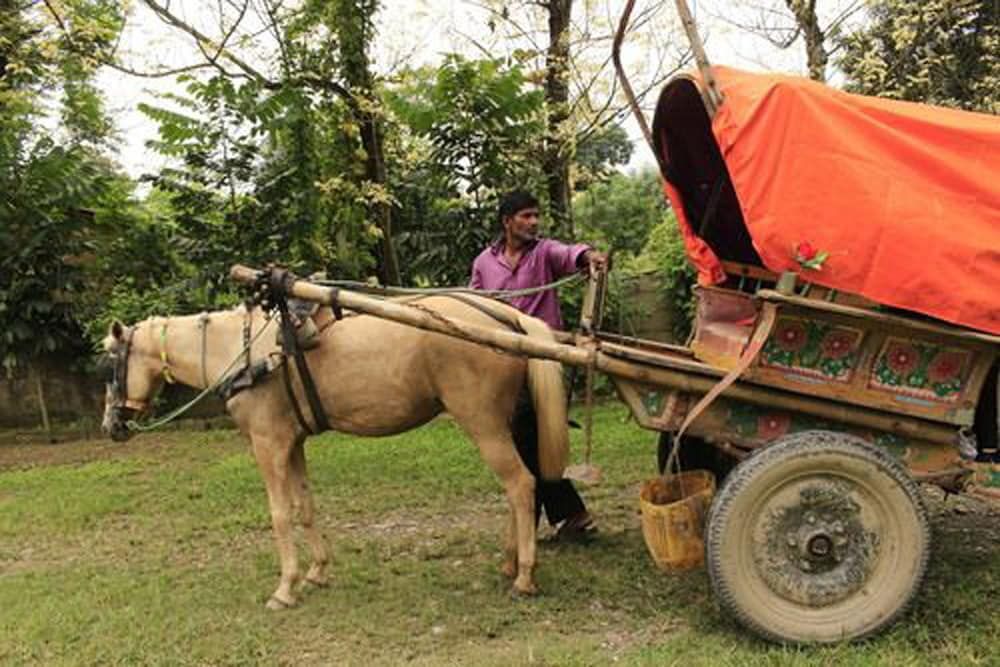 undefined Chitwan Safari Camp & Lodge 6