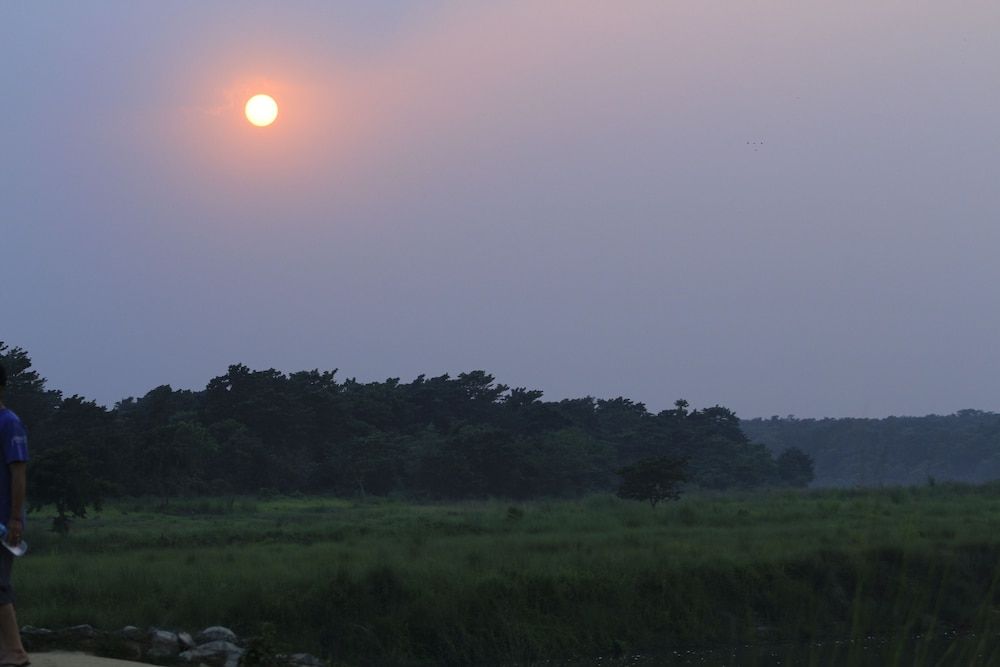 undefined Chitwan Safari Camp & Lodge 9