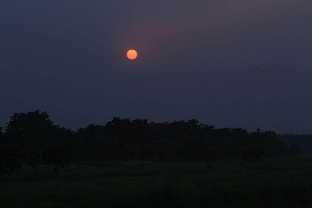 undefined Chitwan Safari Camp & Lodge 8