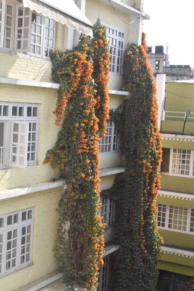 undefined Festoon Hotel 6