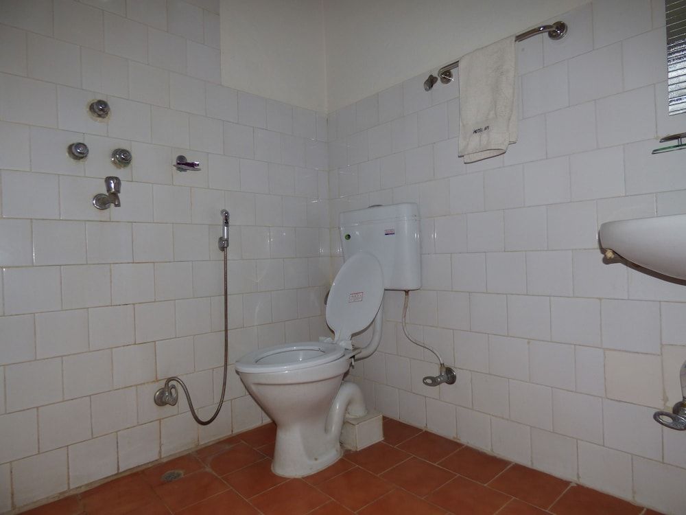 Hotel Api Kathmandu Nepal Deluxe Twin Room, 2 Twin Beds, Non Smoking 5