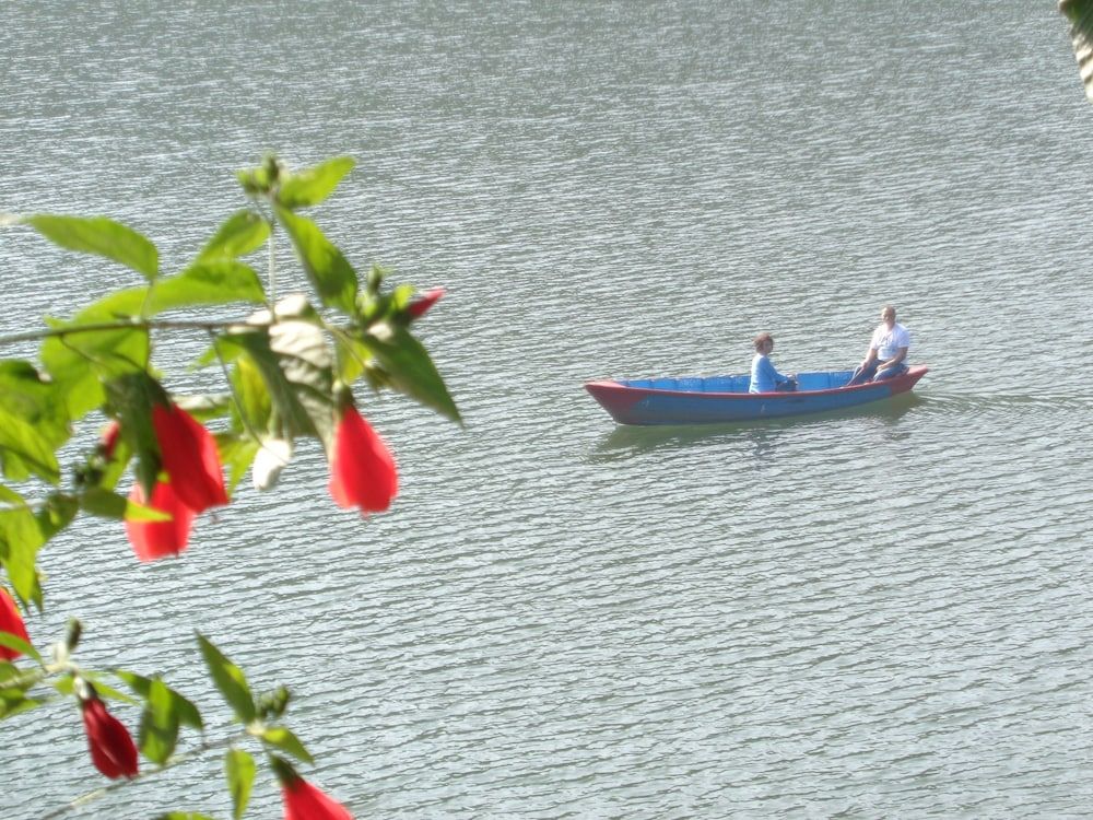 undefined King's Land Hotel 5