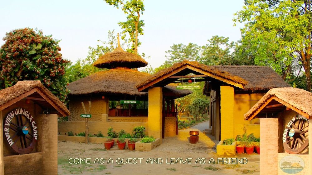 undefined River View Jungle Camp 4