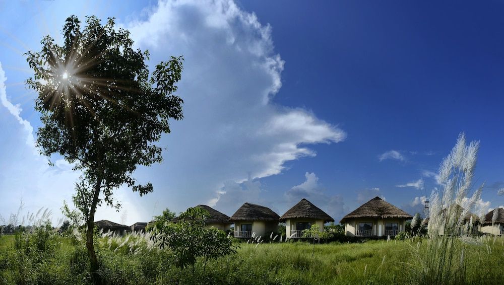 Barahi Jungle Lodge Deluxe Double or Twin Room 8
