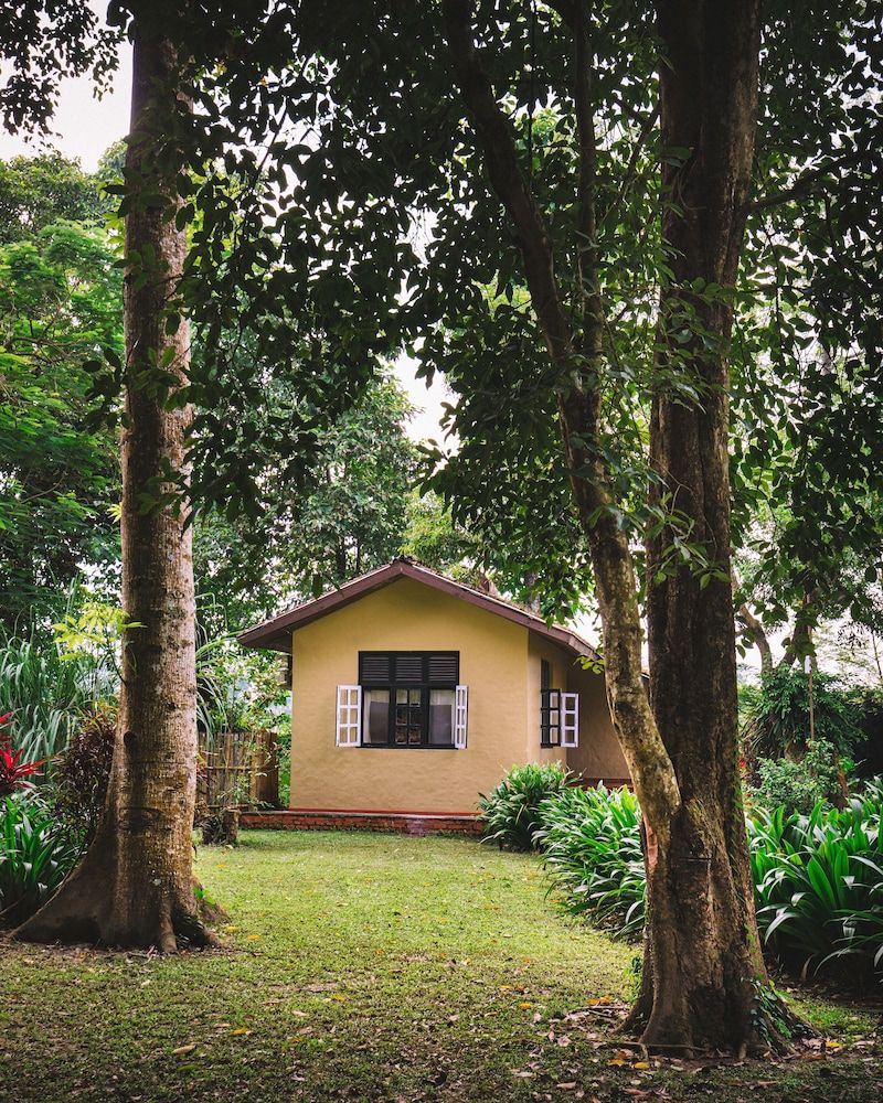 undefined GREEN MANSIONS JUNGLE RESORT 5