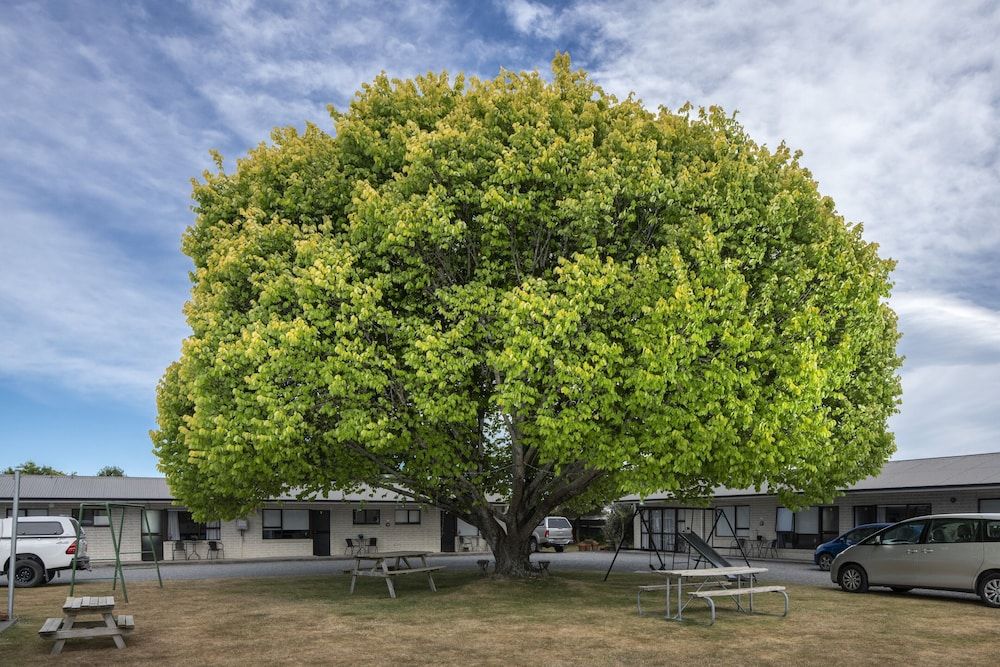 Children's Play Area