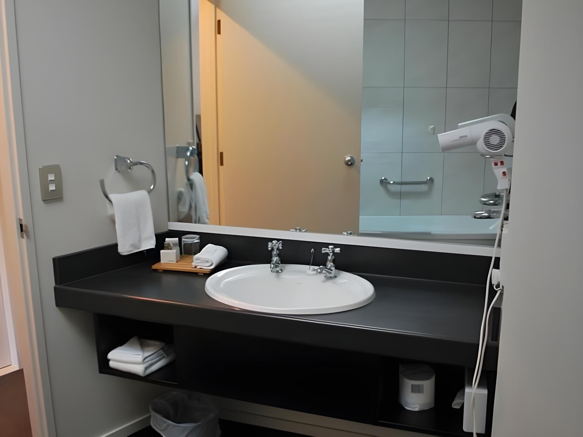 Ascot Park Hotel Deluxe King Studio 3