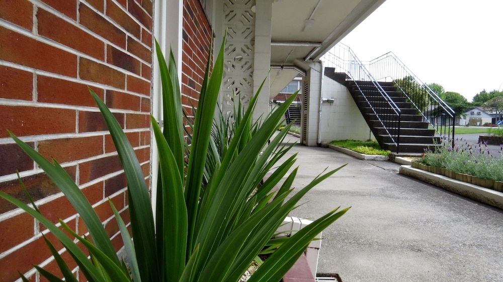 undefined Kuirau Park Motor Lodge 9
