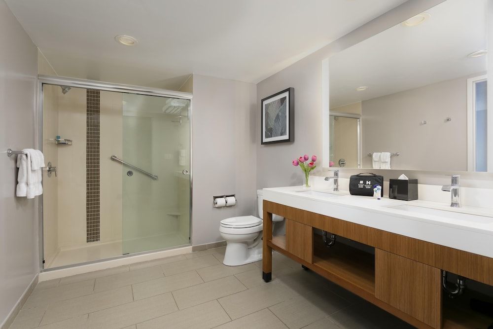 Suite, 1 King Bed with Sofa bed