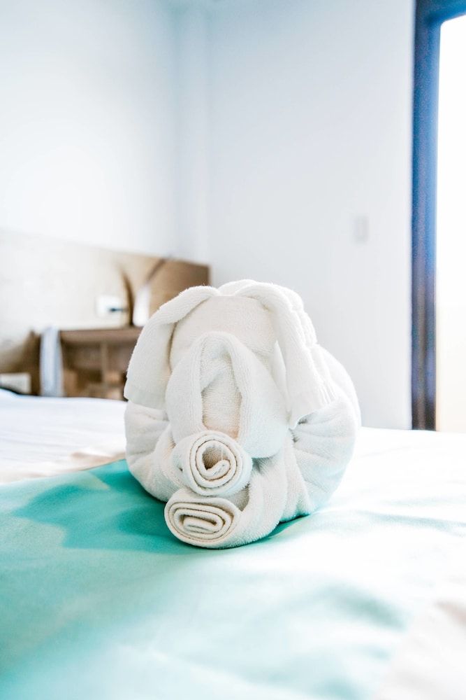 Palau Hotel Classic Double Room