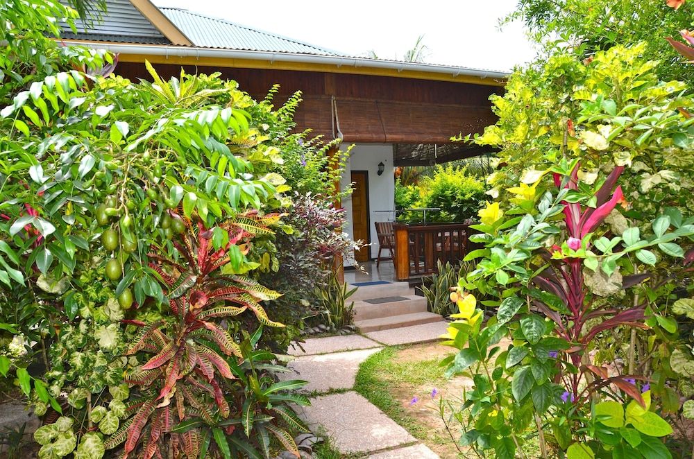 undefined Cocotier Du Rocher 4