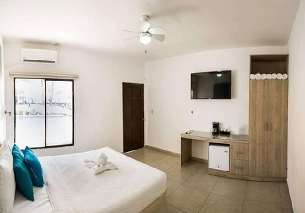 Room, 1 Queen Bed