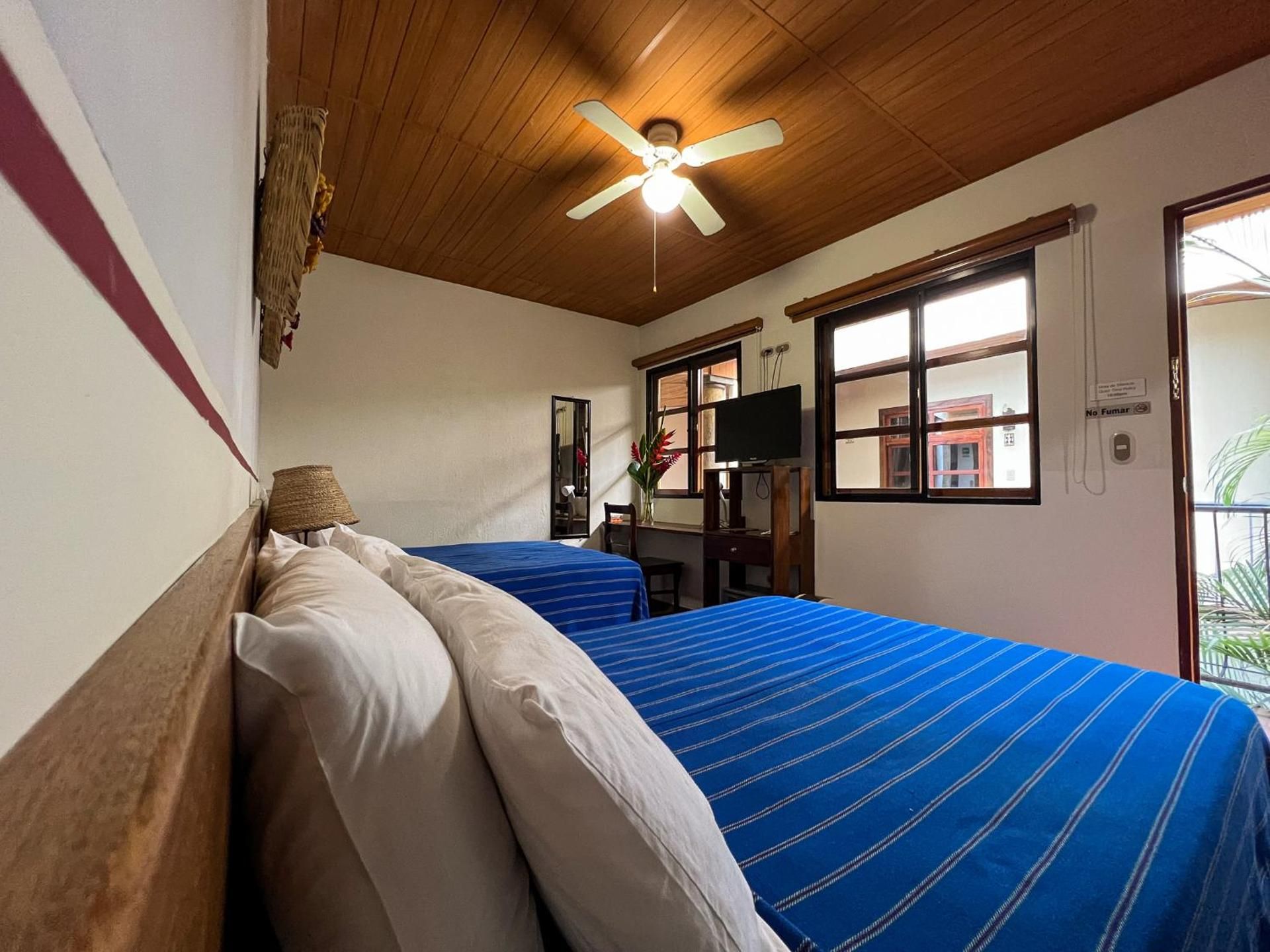 Superior Double with Garden View