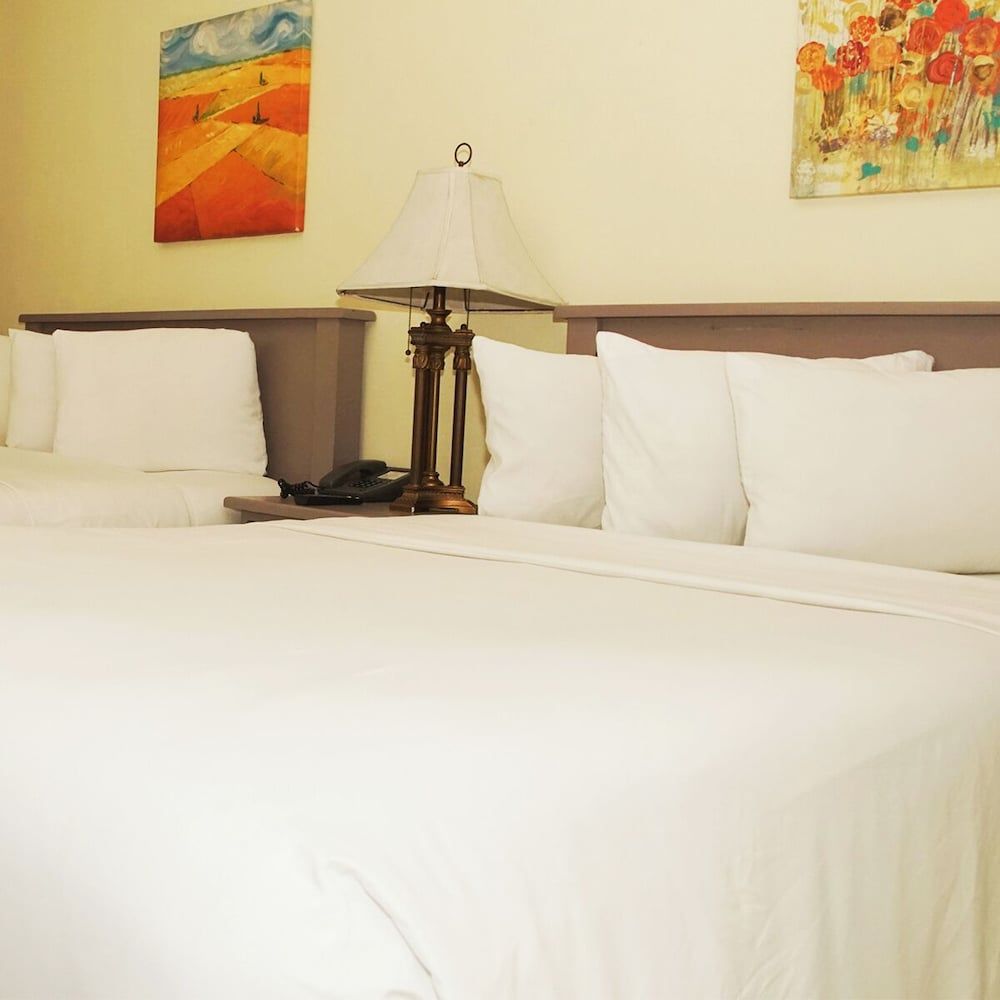 Morrison Hotel San Salvador Standard Double Room, 2 Double Beds 9