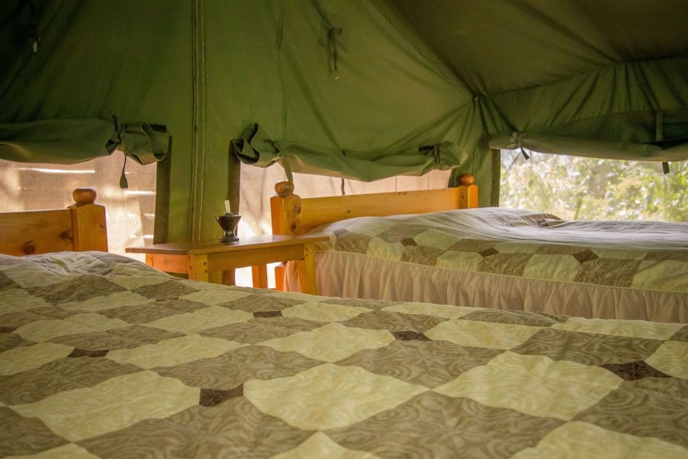 Standard Tent