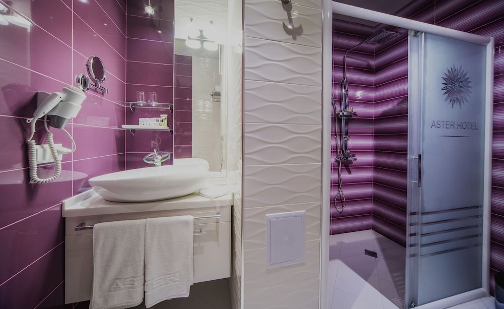 undefined Aster Hotel Group 10