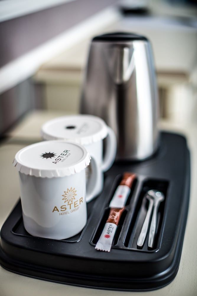 undefined Aster Hotel Group 9