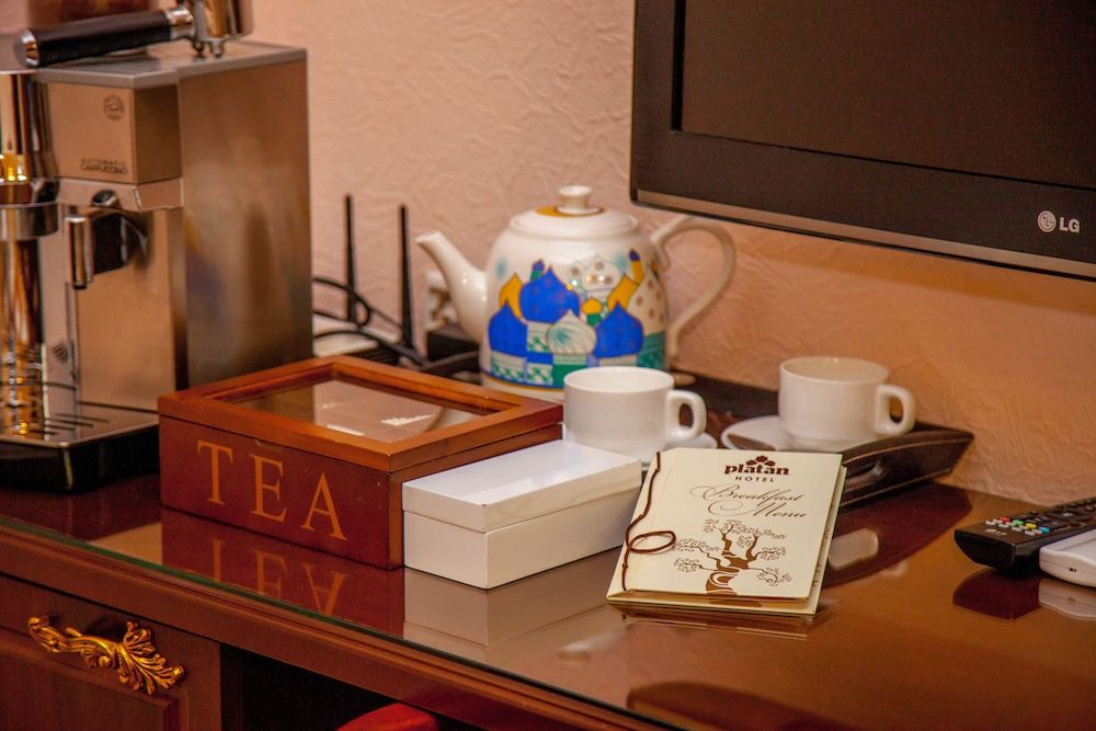 Platan Standard Double or Twin Room 10