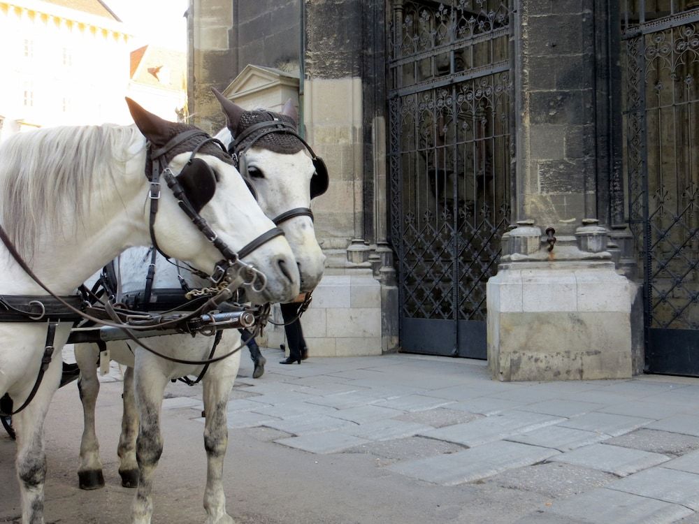 undefined Gabrieles Apartment 3