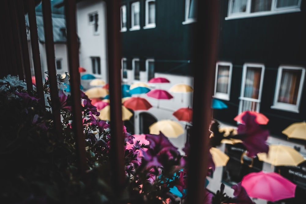 undefined Cella Central Historic Boutique Hotel 8