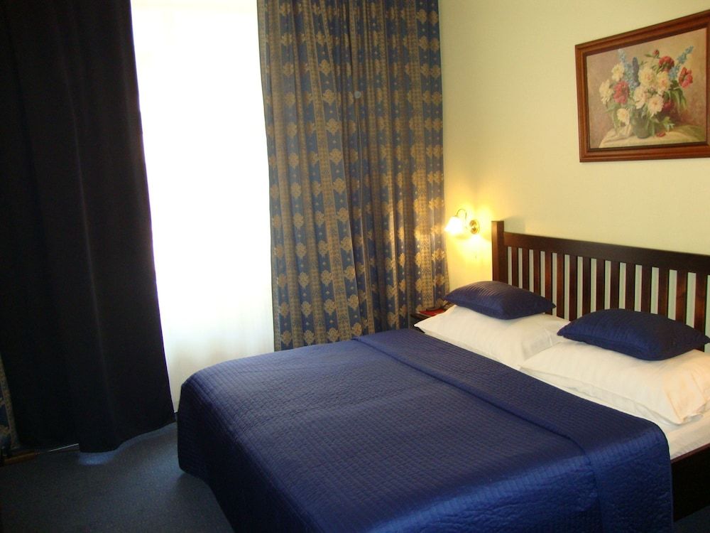 Hotel Bajazzo Double Room 2