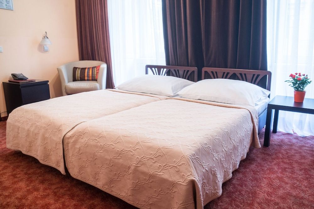 Hotel Bajazzo Double Room 6