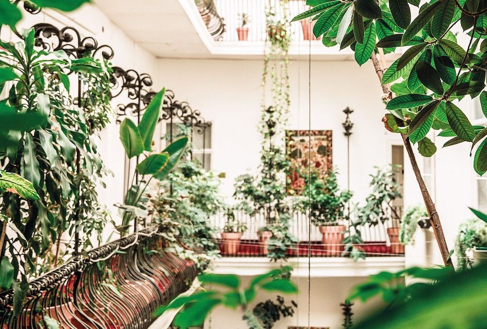 undefined Erzherzog Johann Palais Hotel 5