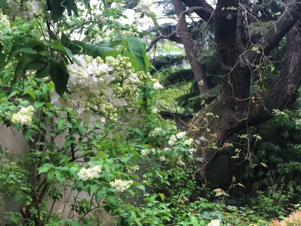 undefined counts 65 10