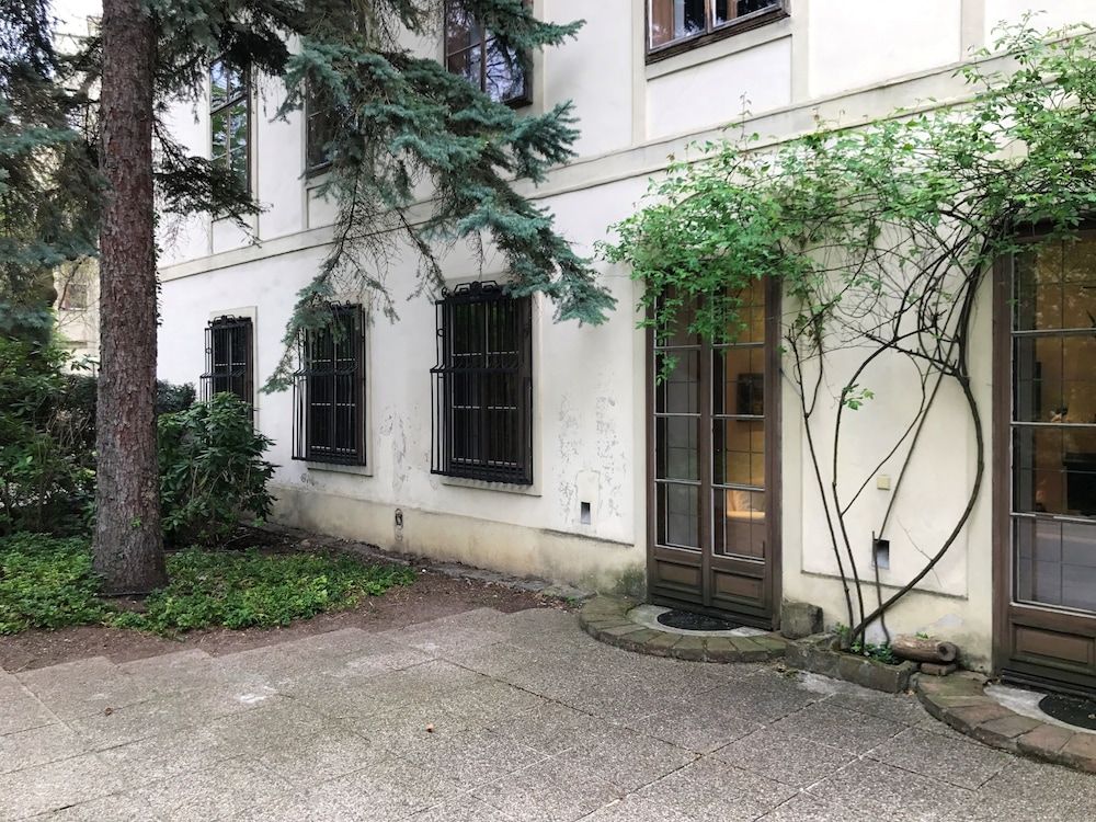 undefined counts 65 5