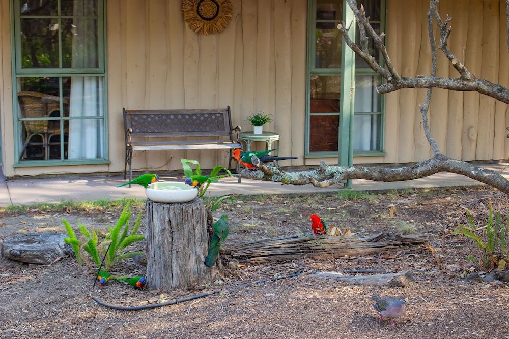 Land View from Property