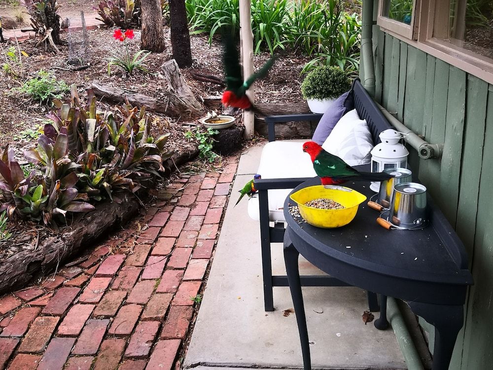 Children's Play Area