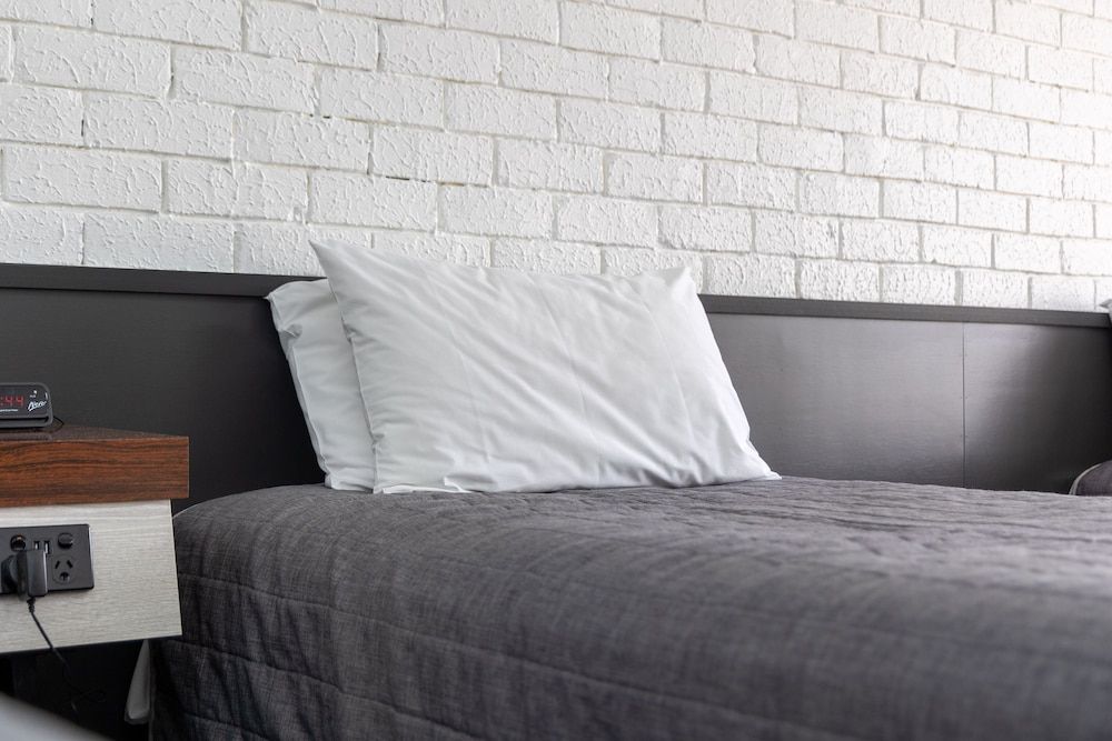 Dog Rock Motel Standard Twin Room 3