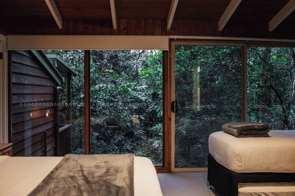 Kondalilla Eco Resort Log Cabin 15