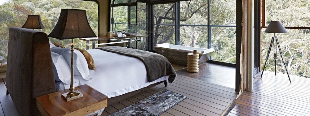 Canopy Suite